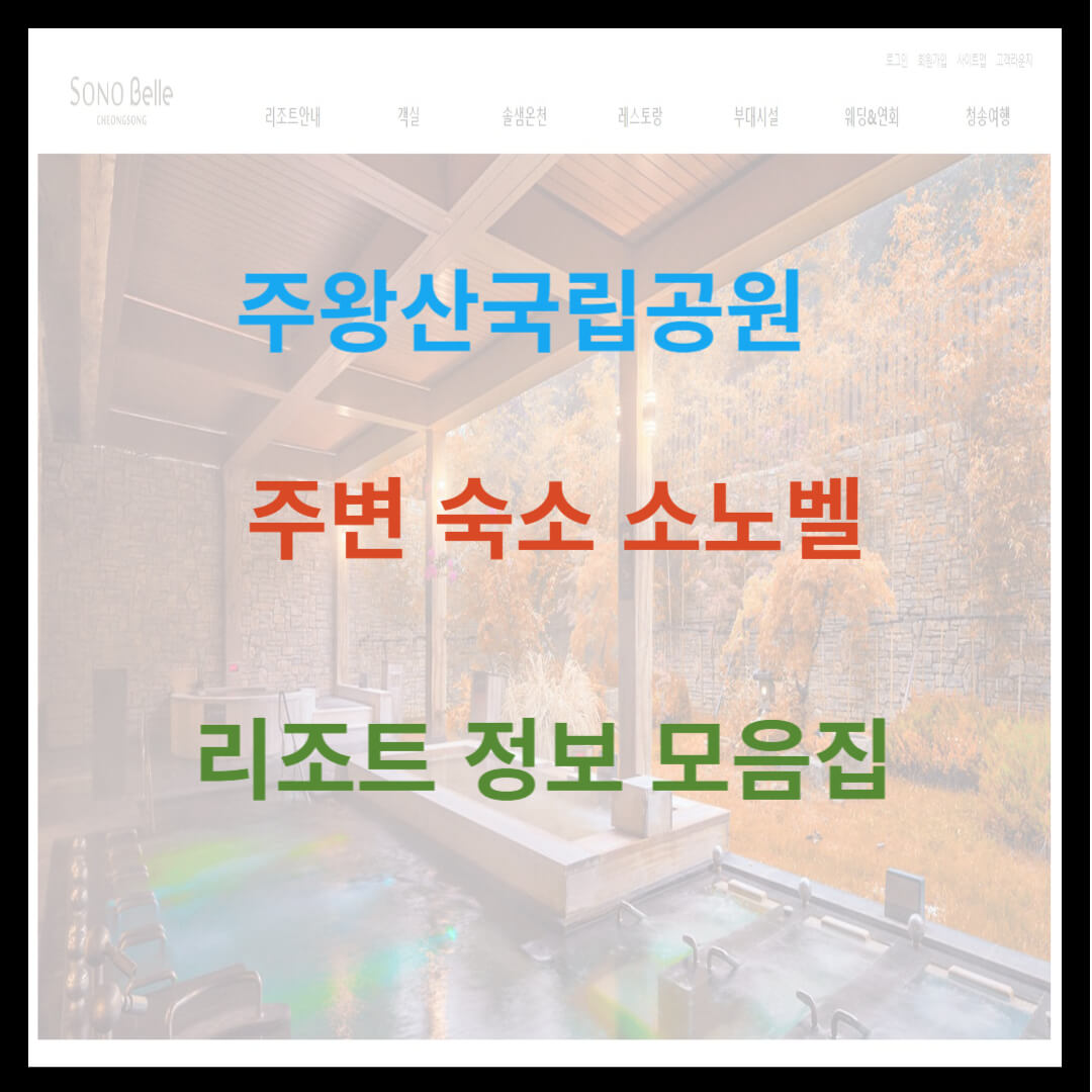 주왕산국립공원 주변 숙소 소노벨 리조트 정보 모음집