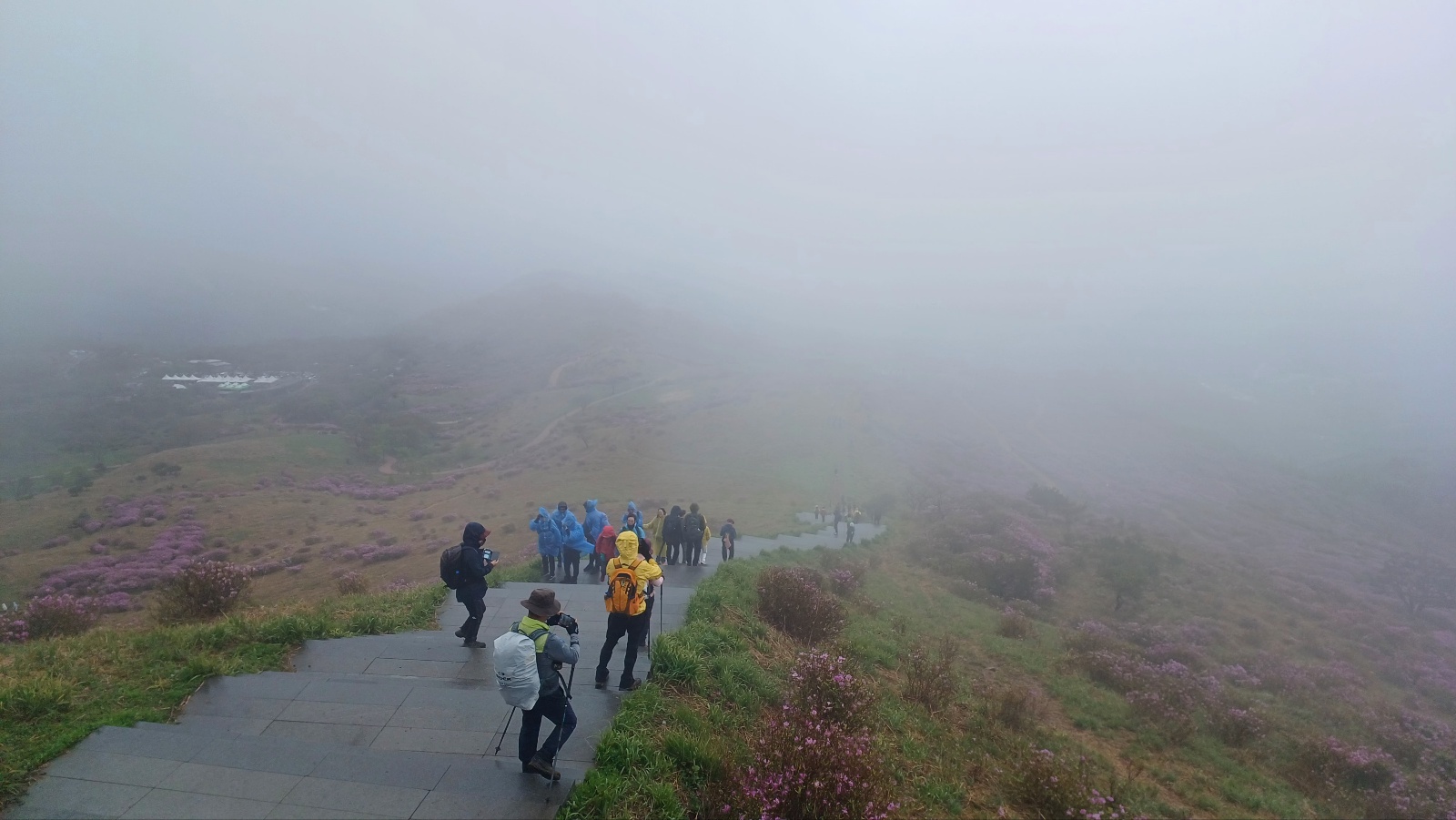 합천 황매산 철쭉29