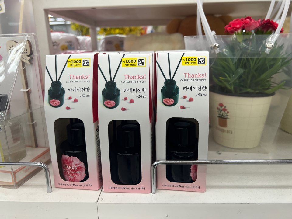 카네이션향-디퓨저