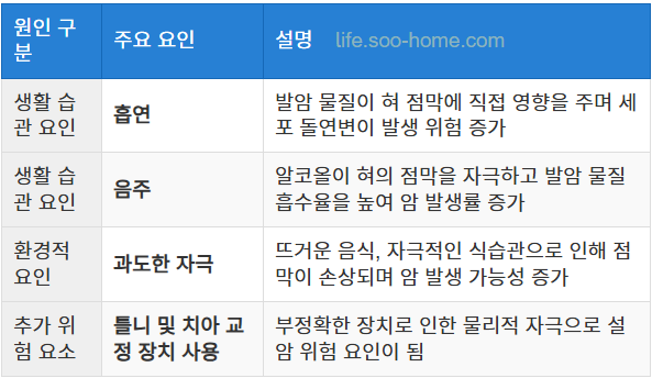 설암의 주요 원인과 위험 요인