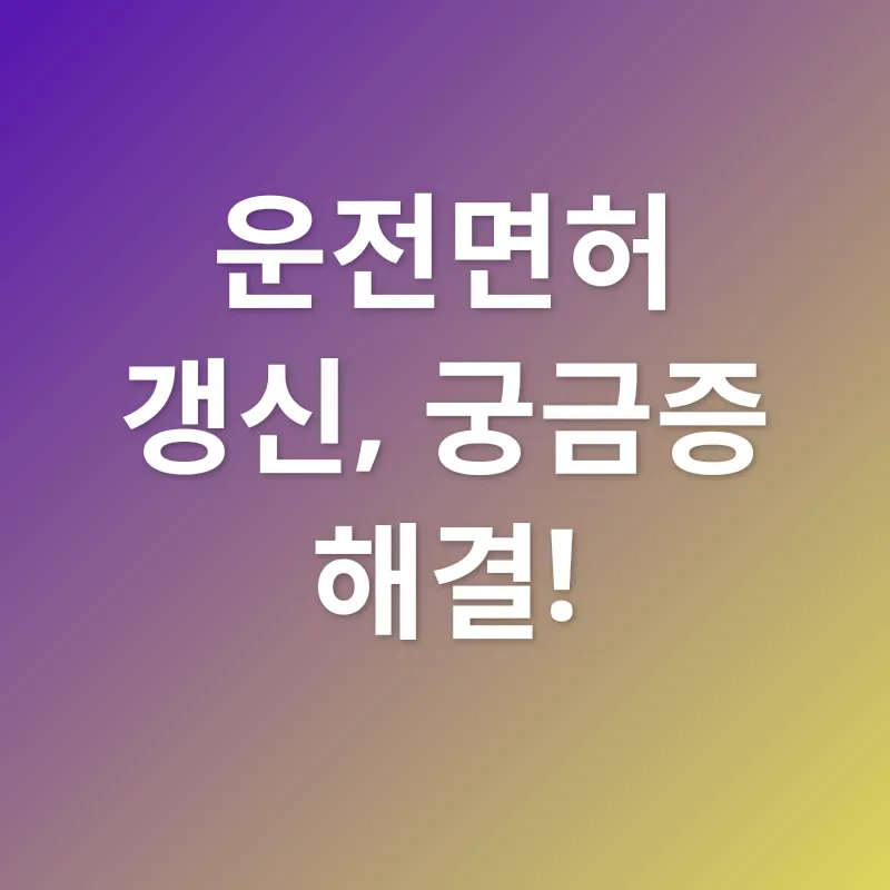운전면허 갱신_4
