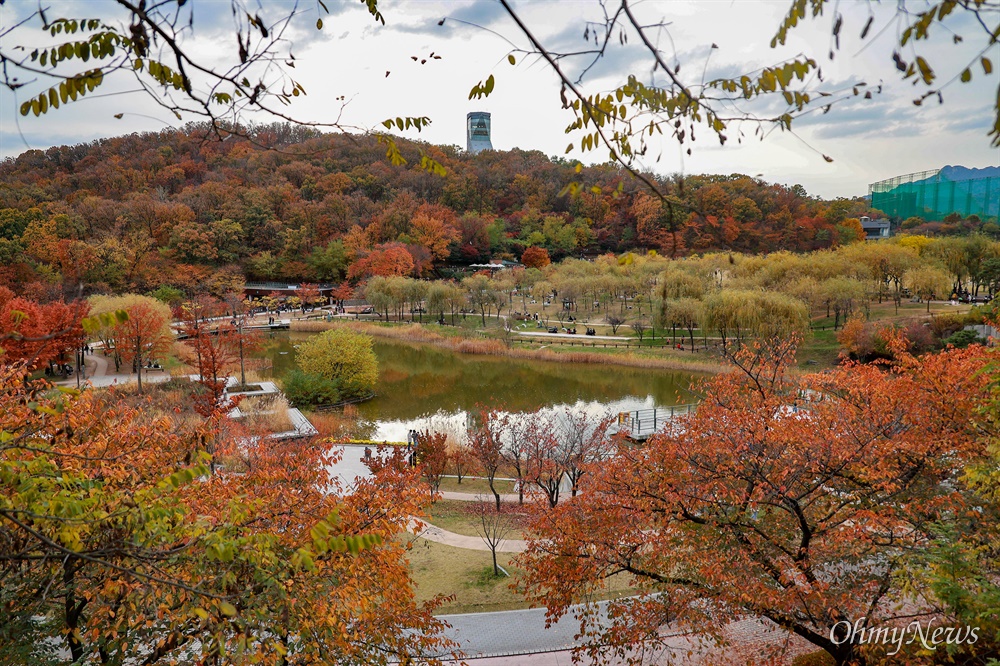 서울 강북의 조용한 산책길, 북서울꿈의숲에서 찾은 평온한 오후