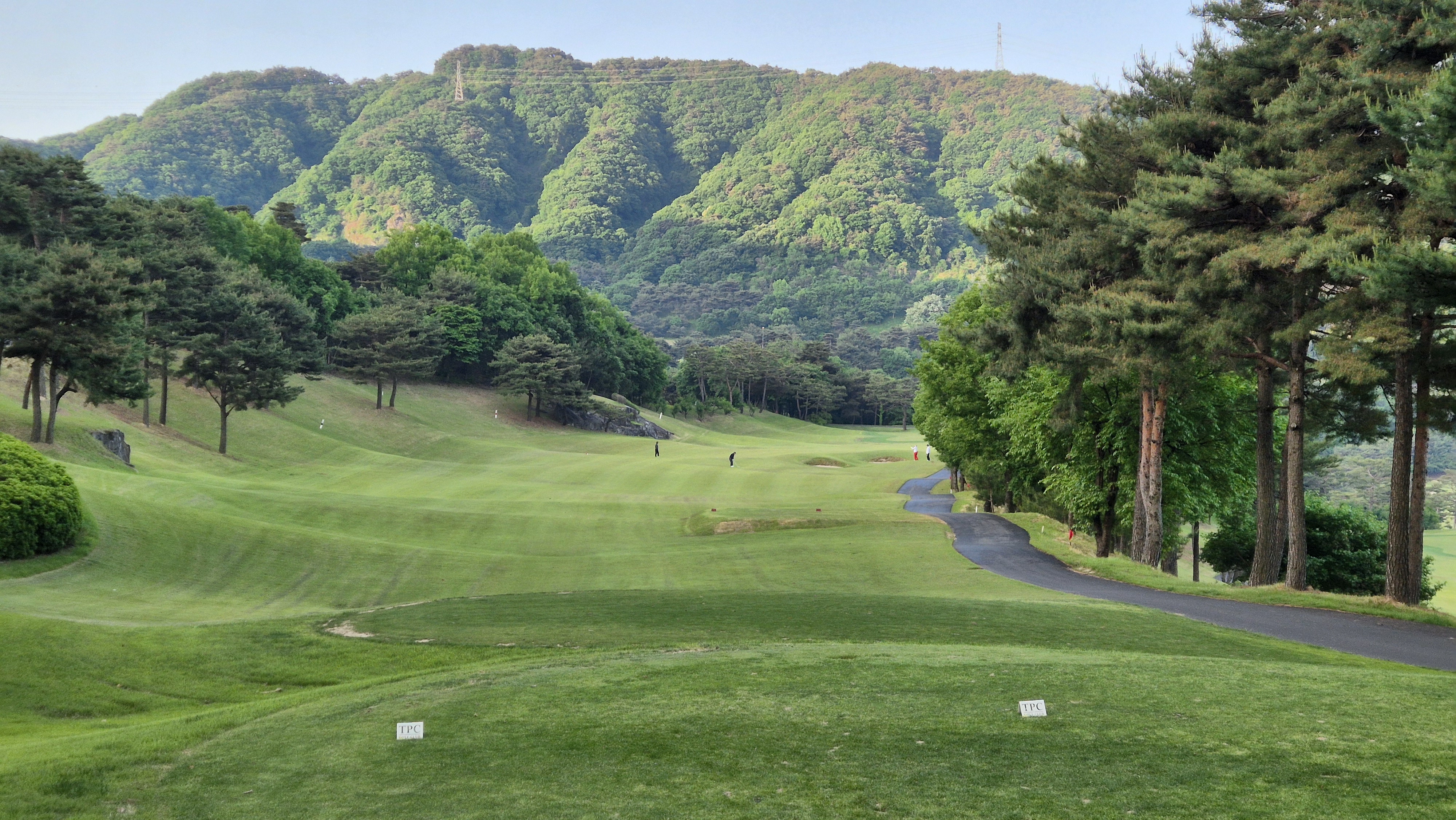 양평TPC
