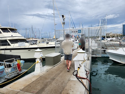 거북이스노쿨링배