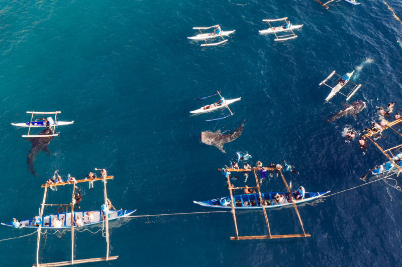 출처:하나투어&amp;#44; 세부