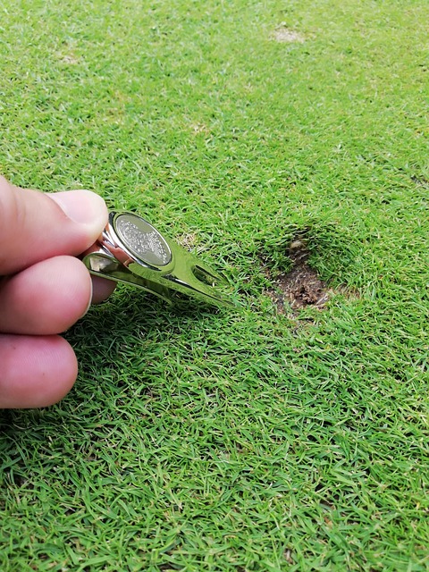 그린보수기 사진