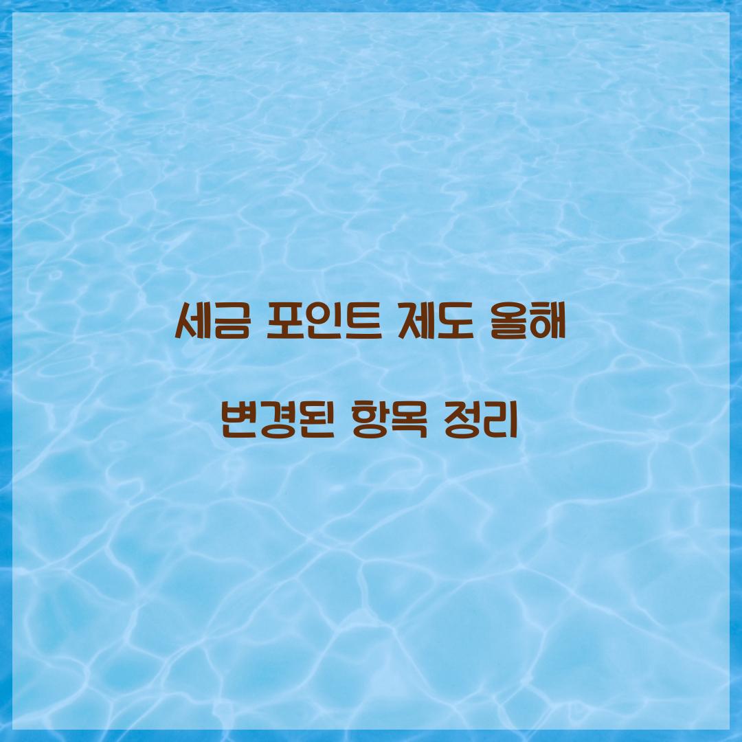 세금 포인트 제도 올해 변경된 항목 정리  