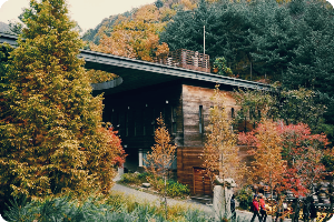 화담숲 홈페이지 예매방법 입장료 할인정보까지 한번에