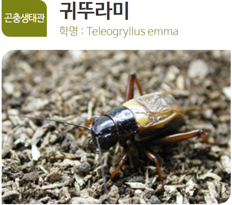 아산 생태곤충원