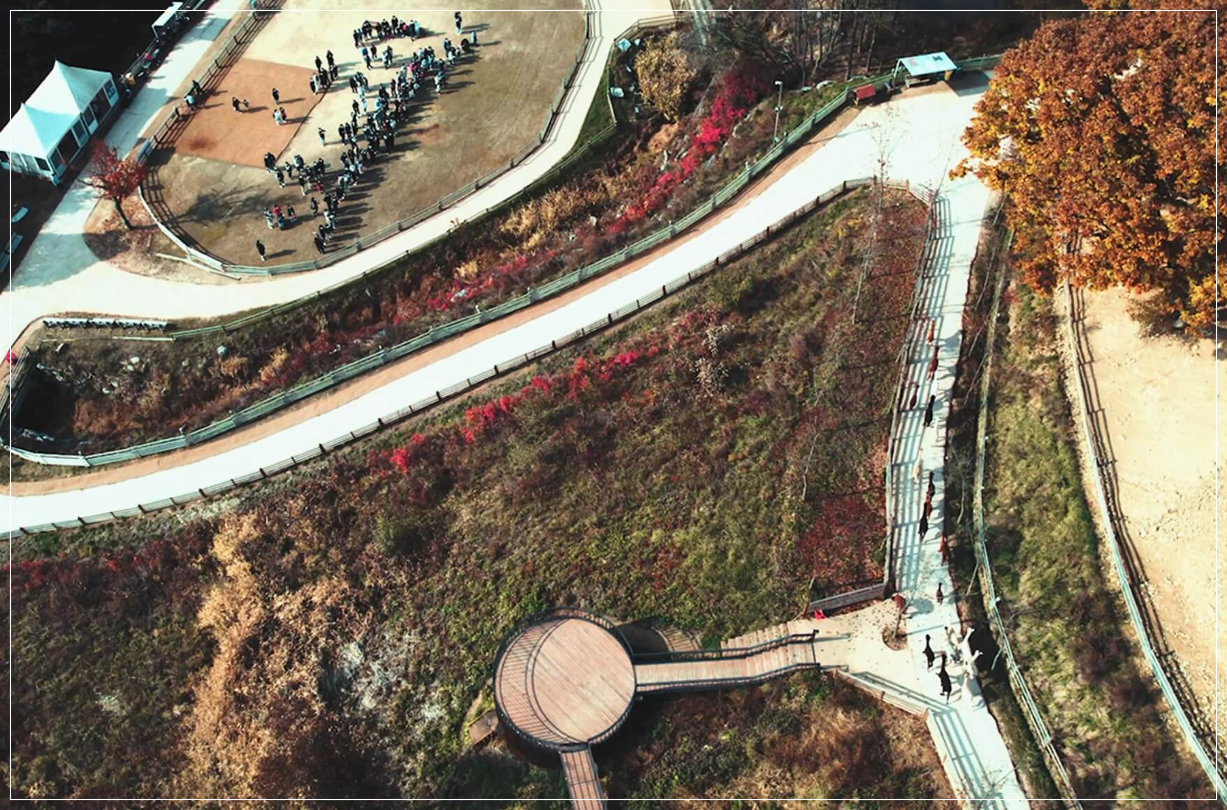 홍천 가볼만한곳 베스트10 알파카월드