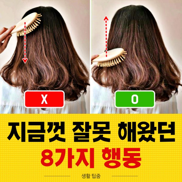 머리 빗질 건강법, 지금껏 잘못 해왔던 8가지 행동, 생활 팁줌 매일꿀정보