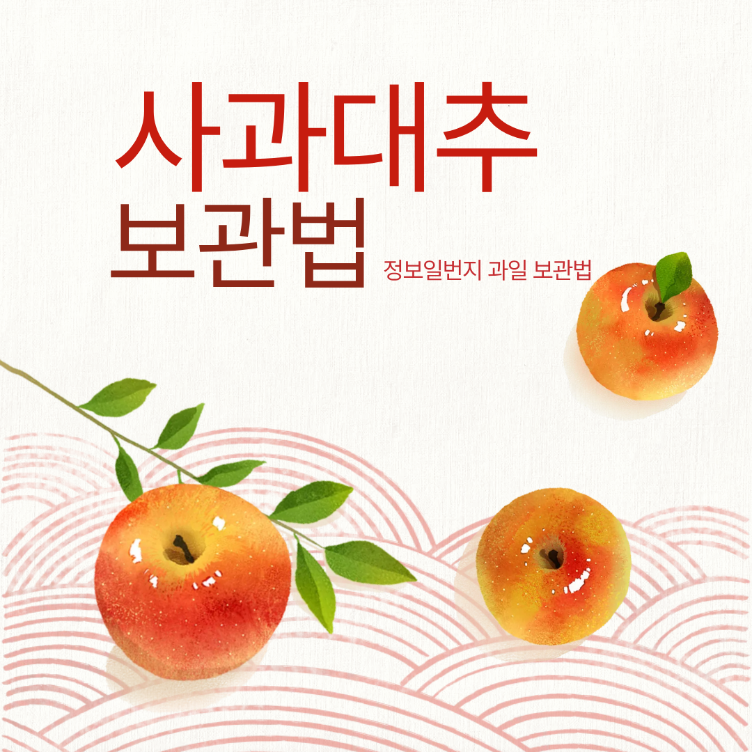 사과대추-보관법-신선도-과일보관법-유지-사과대추효능