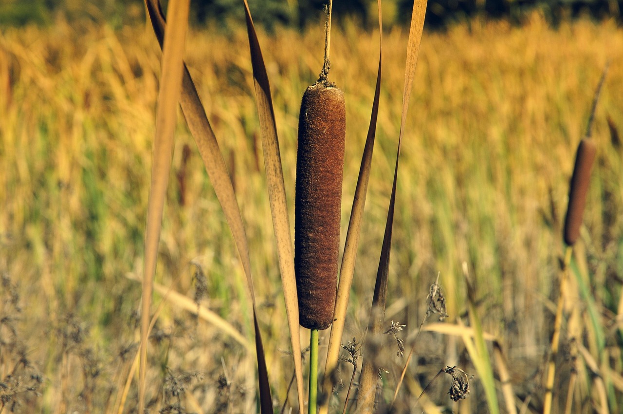 주민세 납부 기간 방법 대상 기준 1분 요약