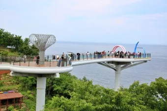 묵호항 배시간표 배편 요금 예약_6