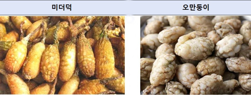 미더덕과 오만둥이, 그 차이점22