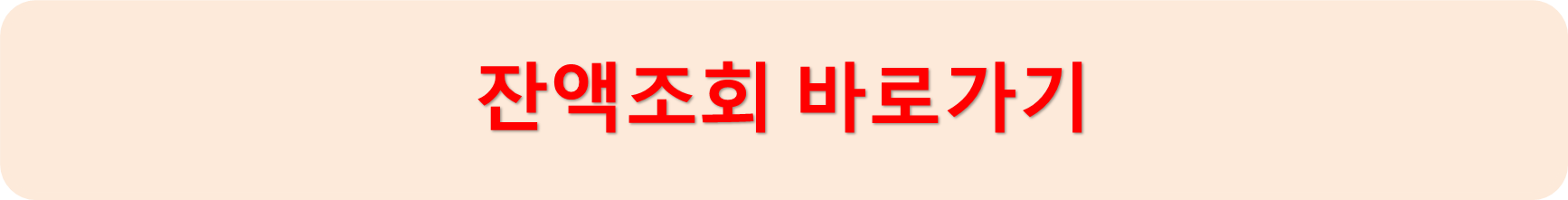 잔액조회