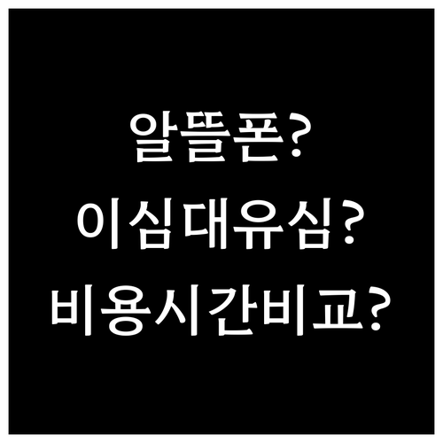 알뜰폰 eSIM 개통 비용과 시간 비..