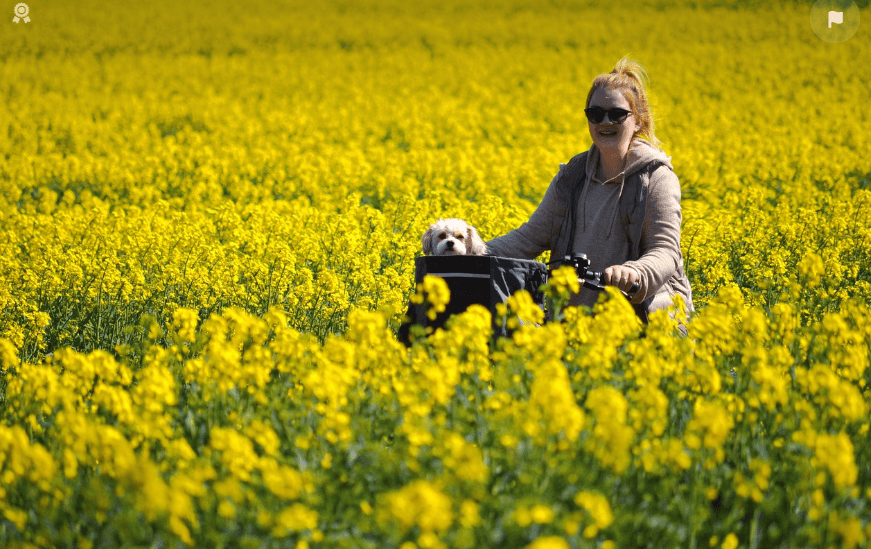 혼자 떠나는 4월 여행