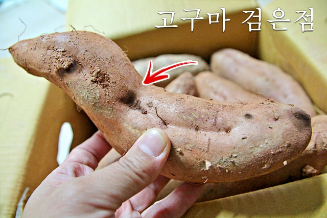 고구마 상한거,먹으면 안되는 고구마,상한 고구마 먹으면,고구마 변색,고구마 검은점 겉 곰팡이,건강,팁줌