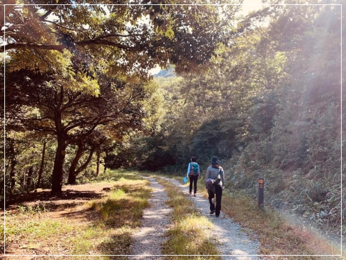 해남 가볼만한곳 베스트10 달마산 달마고도 트레일