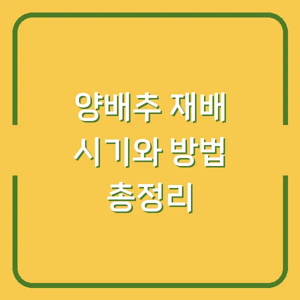 양배추 재배 시기와 방법 총정리