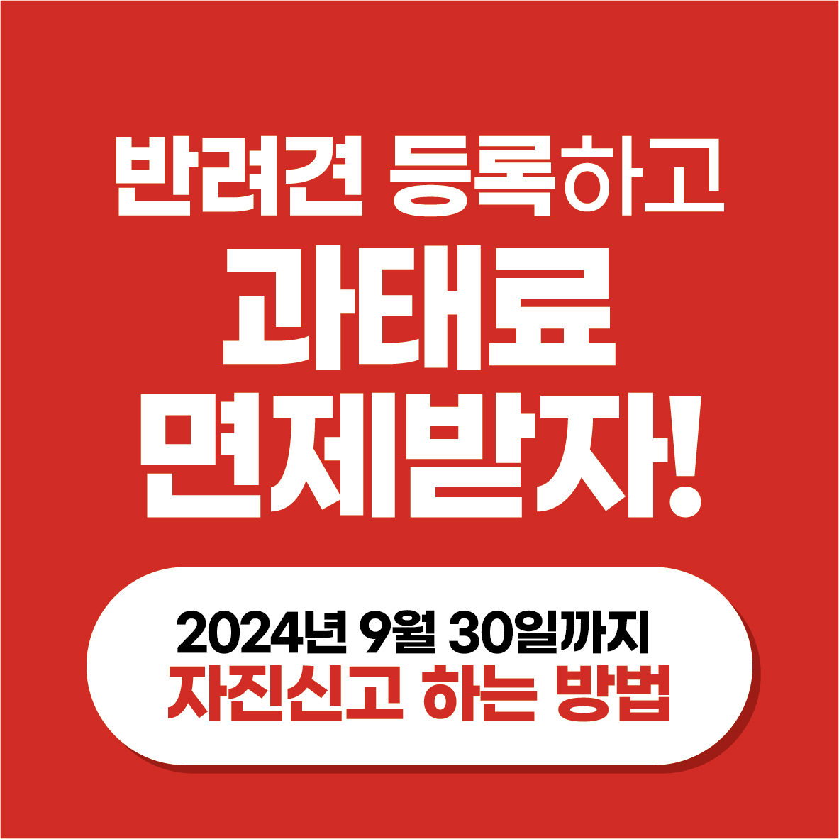 반려견을 위해, 가족을 위해