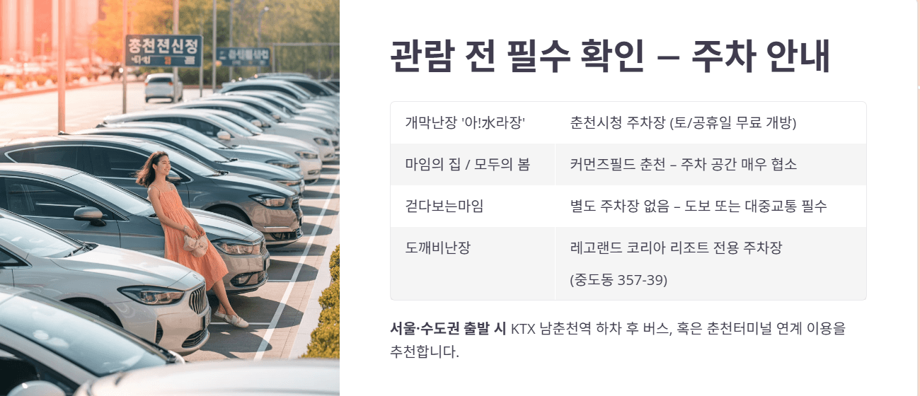 춘천 마임축제 입장권 주차장 티켓