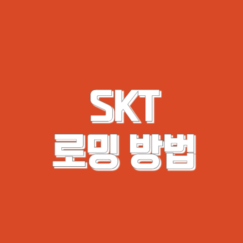 skt 로밍하는 방법