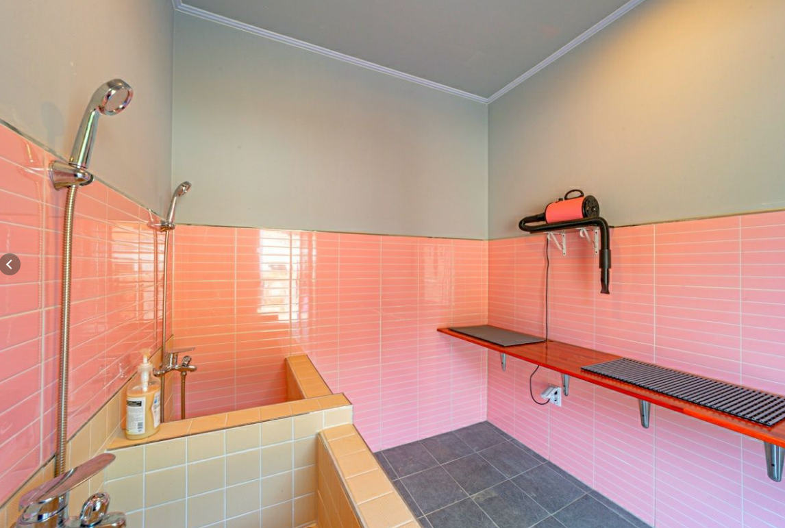 드루왈 애견캠핑장 반려견 목욕실