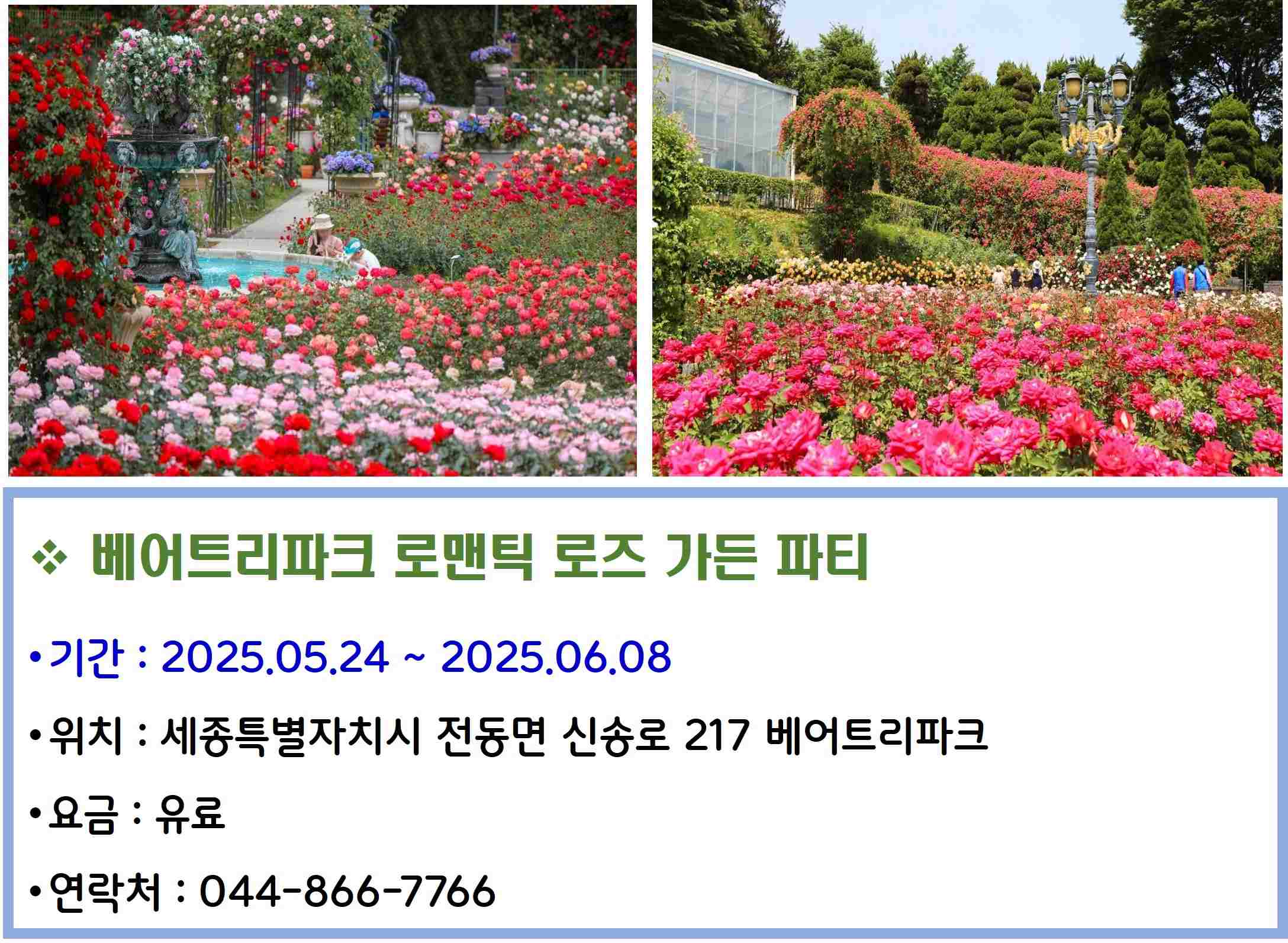 베어트리파크 로맨틱 로즈 가든 파티