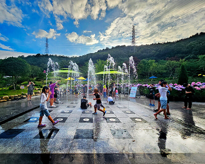 2025 강진 수국길 축제 : 축제 개요부터 방문 팁까지 총정리
