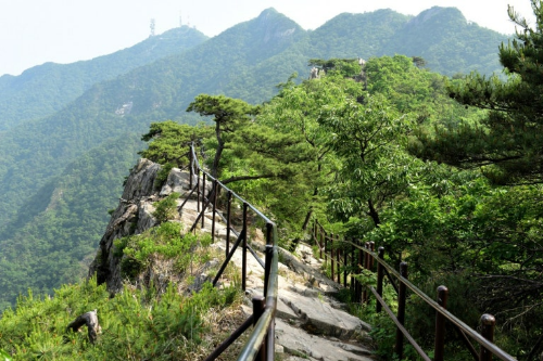 계룡산 관음봉 탐방로 사진