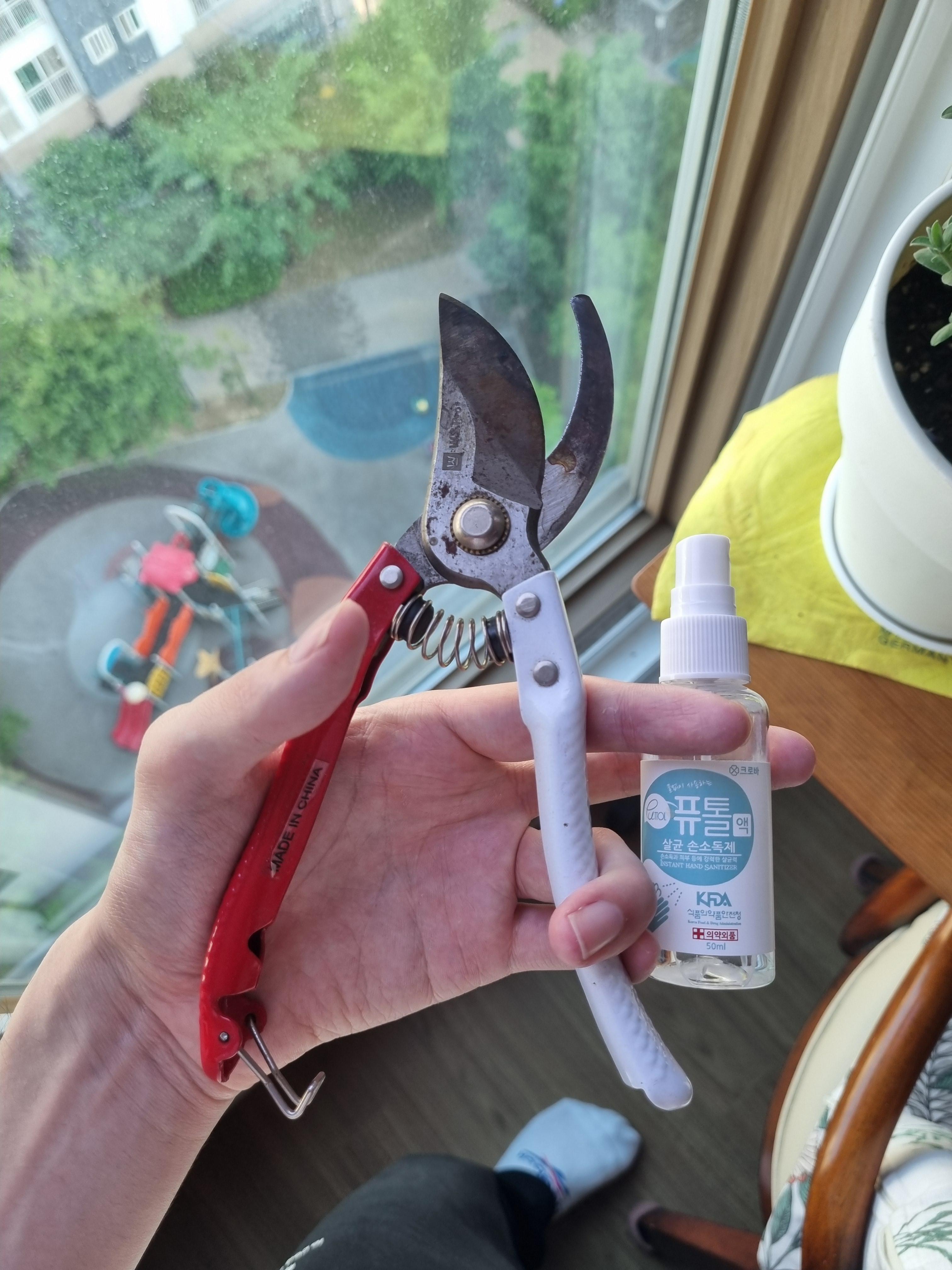 도구 소독 사진