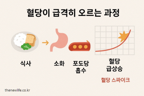 혈당이 급격히 오르는 과정 &ndash; 식사 후 소화, 포도당 흡수, 혈당 스파이크