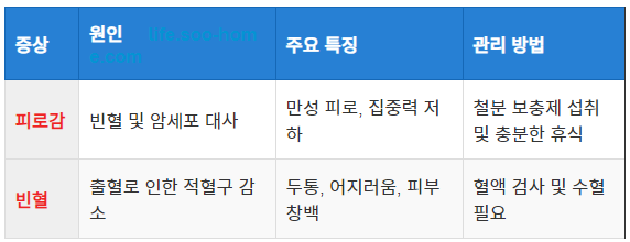 피로감과 빈혈 증상