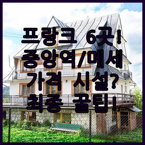 프랑크푸르트 호텔 중앙역 메세 6곳 ..