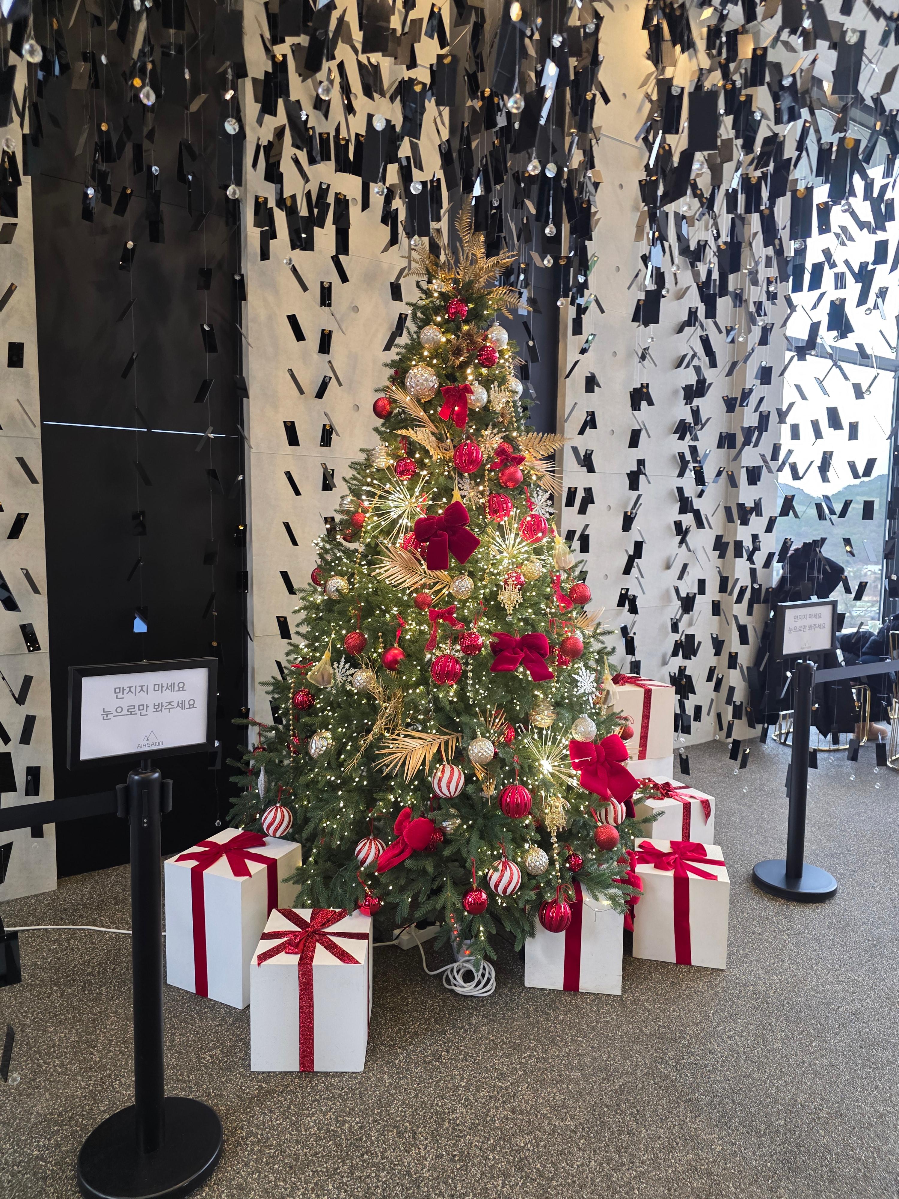 에어산 동학사 대전근교 대형카페 계룡산 주차 가격 영업시간 구이산 고기 06