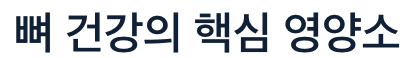 뼈에 좋은 핵심영양소