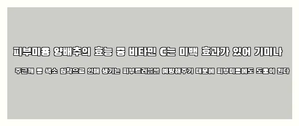  피부미용 양배추의 효능 중 비타민 C는 미백 효과가 있어 기미나 주근깨 등 색소 침착으로 인해 생기는 피부트러블을 예방해주기 때문에 피부미용에도 도움이 된다