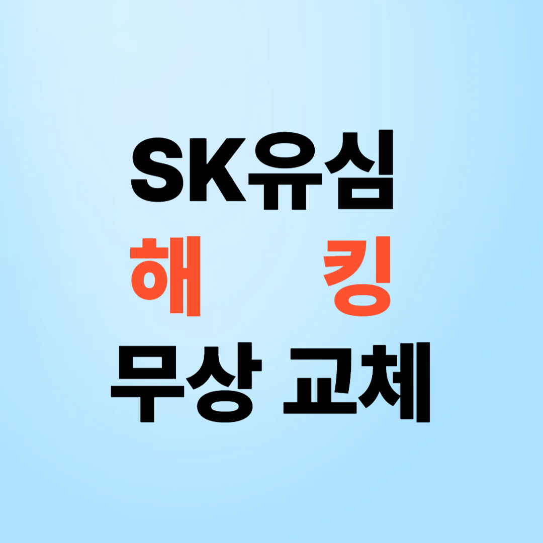 SK 해킹 유심
