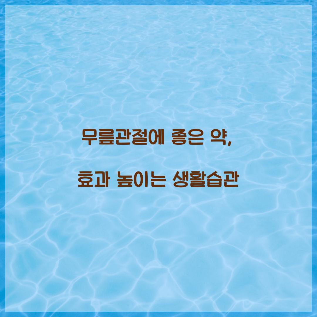 무릎관절에 좋은 약