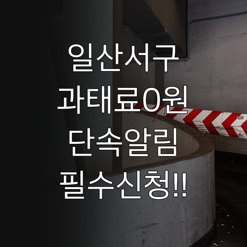 고양 일산서구 주정차단속알림 신청 방..