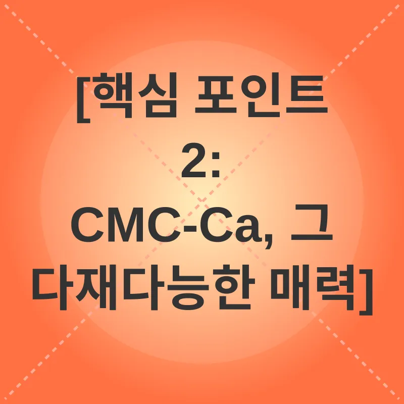정제붕해제_2