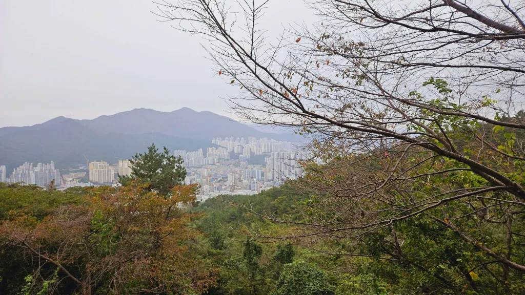 엄광산 맨발숲길에서 바라본 풍경