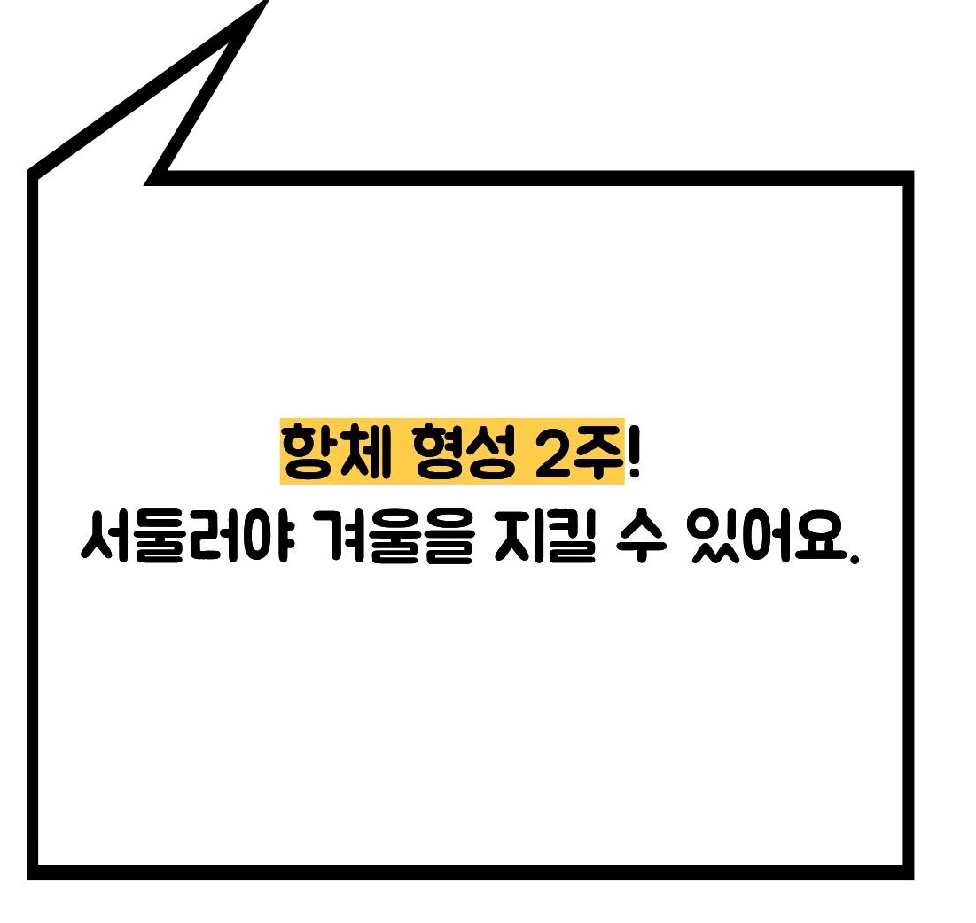 독감예방접종 시기