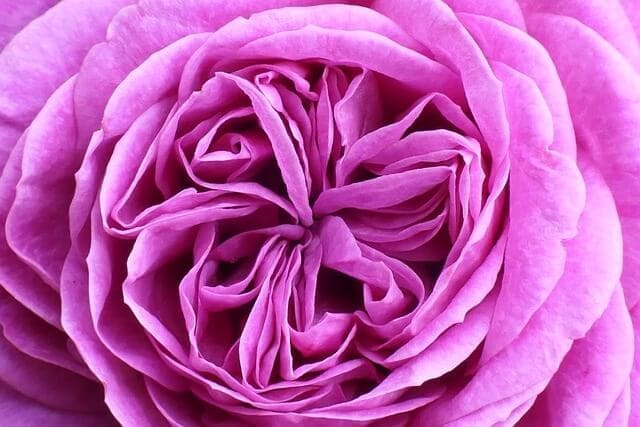 꿈해몽 똥