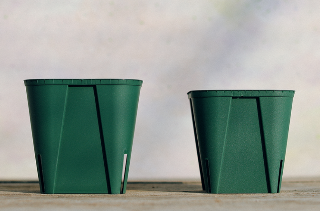 슬릿 화분 예시 사진