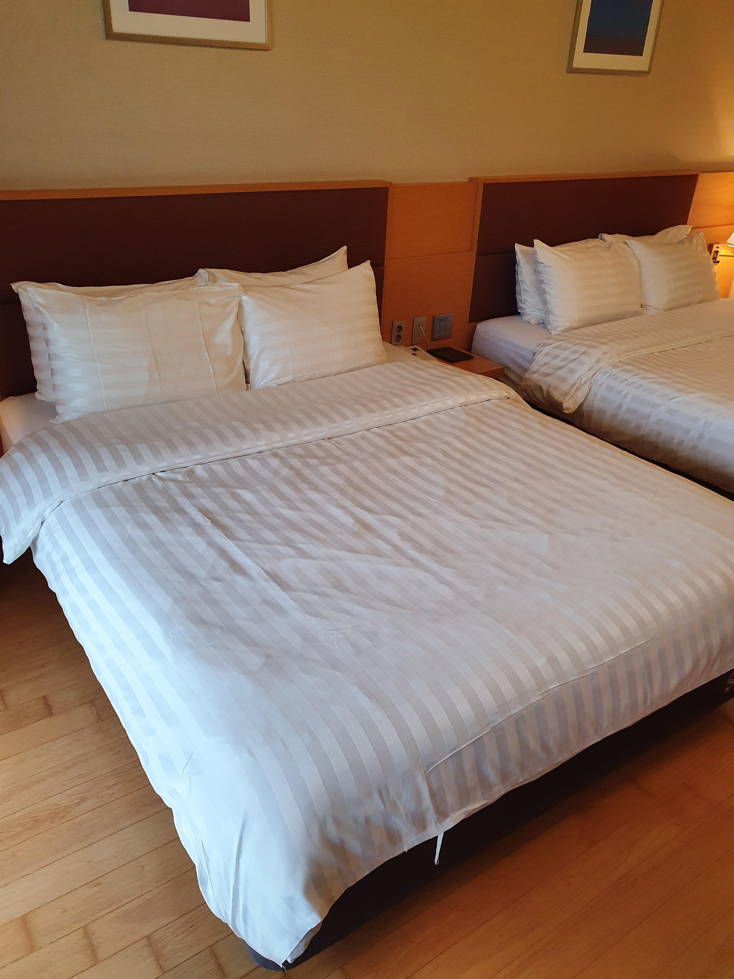 델피노 소노캄c 패밀리 퀸사이즈 침대