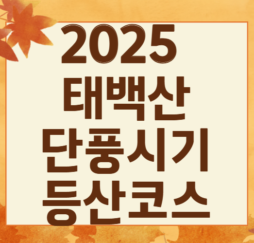 2025 태백산 단풍 절정, 이 시기 놓치면 후회! 실시간 정보 + 추천 코스 3곳