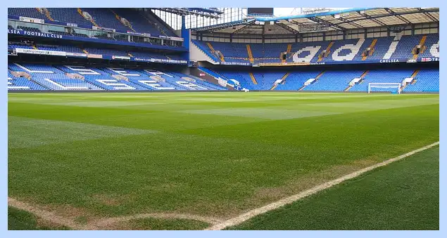 축구 국가대표 감독: 역대 감독부터 현재까지 모든 것